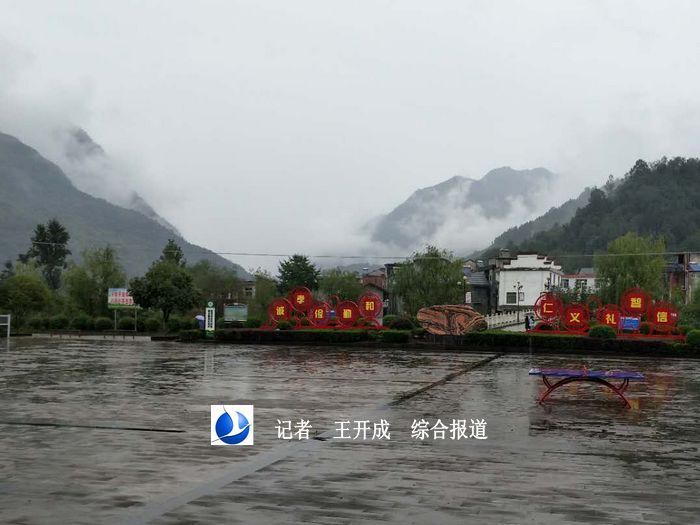 野草漂洋過海—陜西平利縣洛河鎮(zhèn)絞股藍產(chǎn)業(yè)聚焦