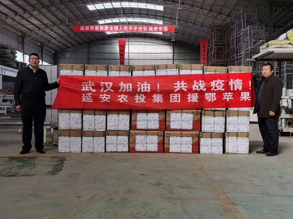 延安人民心系武漢 滿載深情運(yùn)送江城 ——延安市向武漢捐贈200噸蘋果