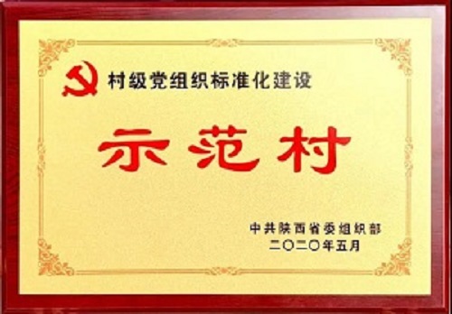 長安區(qū)三個村榮獲村級黨組織標(biāo)準(zhǔn)化建設(shè)省級示范村稱號