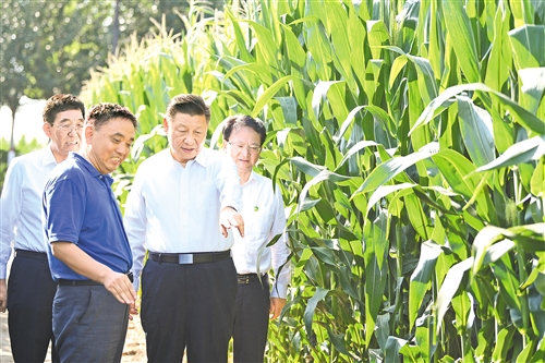 習近平在吉林考察時強調  堅持新發展理念深入實施東北振興戰略 加快推動新時代吉林全面振興全方位振興 